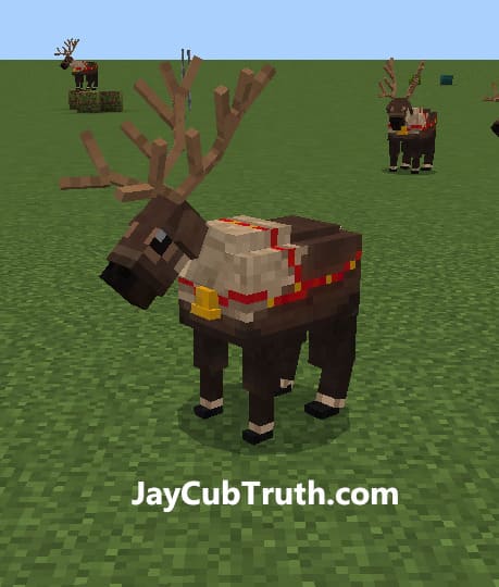Reindeer animals (screenshot 4)