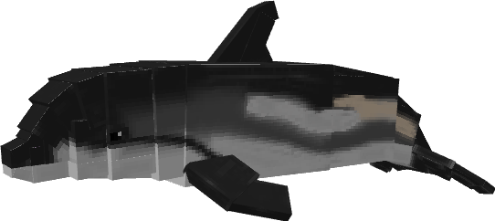 Dolphin variant