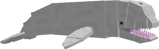 Beluga Whale