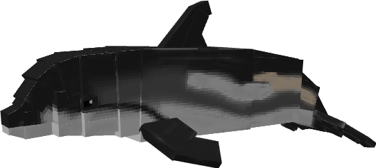 Dolphin Variant