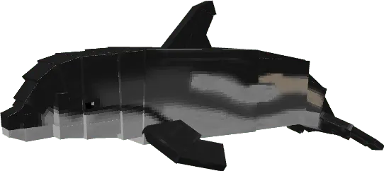 Dolphin Variant
