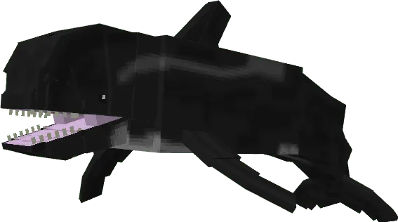Pilot Whale