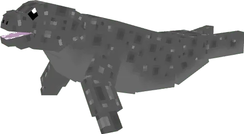 Spotted Seal
