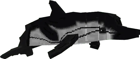 Stripped Dolphin