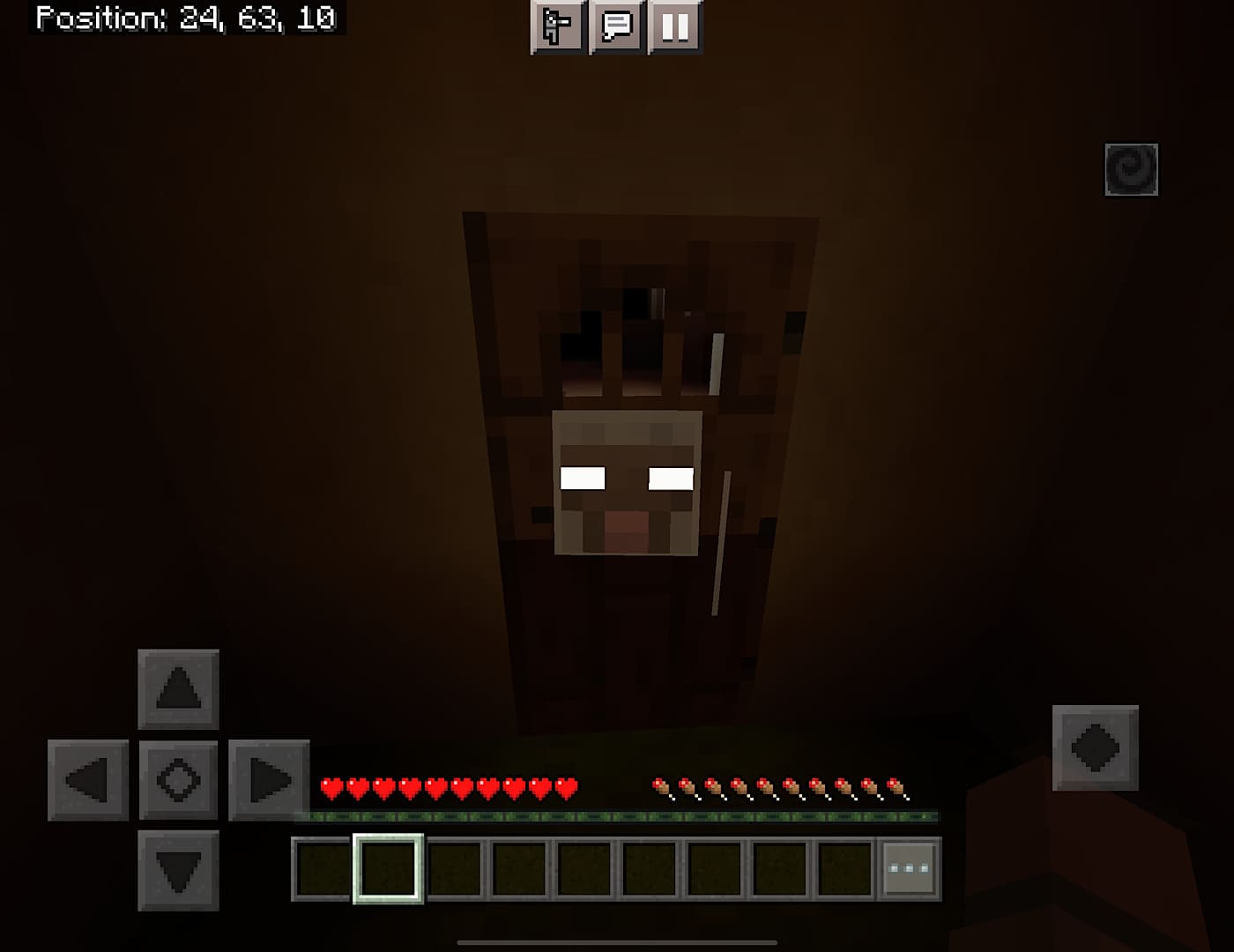 head herobrine