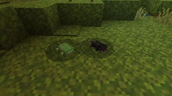 Crocodile and an Ender Axolotls