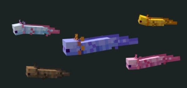 Default Axolotl textures