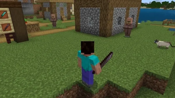 Steve with a Diamond Machete