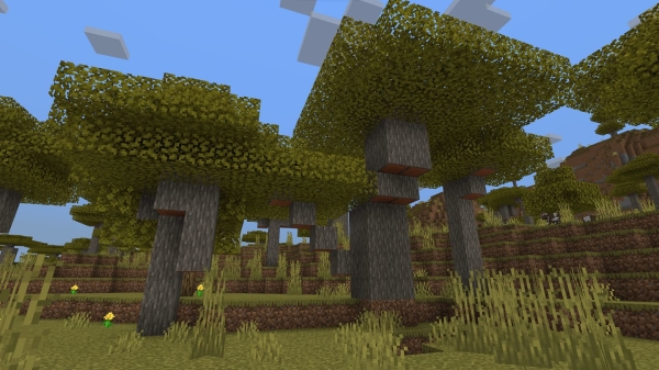 Acacia Trees: Screenshot 2