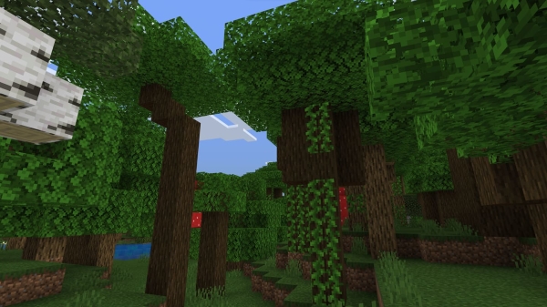 Dark Oak Trees: Screenshot 2