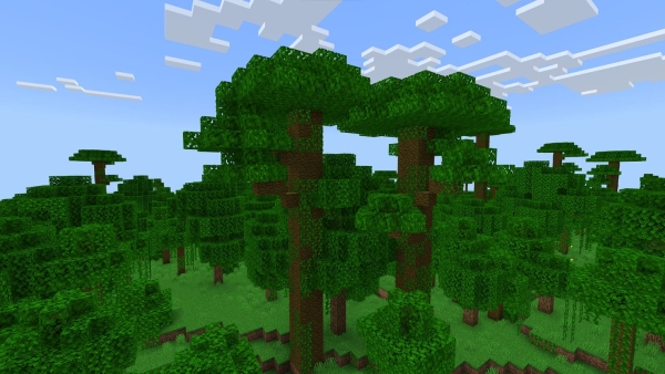 Jungle Trees: Screenshot 1