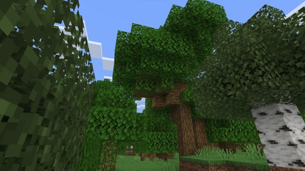 Oak Trees: Screenshot 1