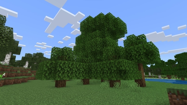 Oak Trees: Screenshot 2