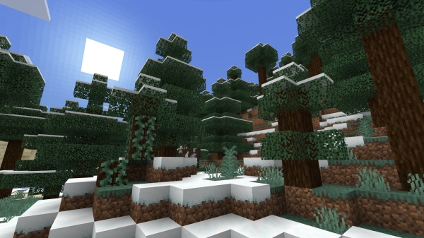 Spruce Trees: Screenshot 1
