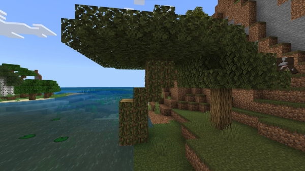 Swamp Oak Trees: Screenshot 1