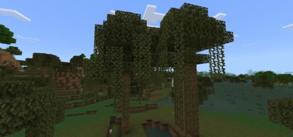 Swamp Oak Trees: Screenshot 2