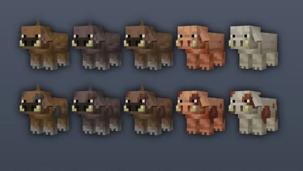 Spotted pigs.