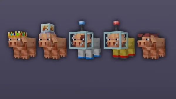 Full list of Rare pigs.
