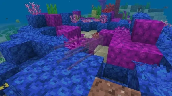 Box Jellyfish Mob