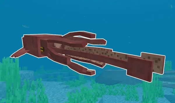 Colossal Squid
