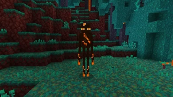 Netherman Mob