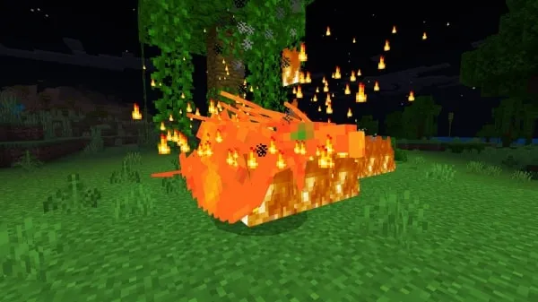 The Phoenix in Fire