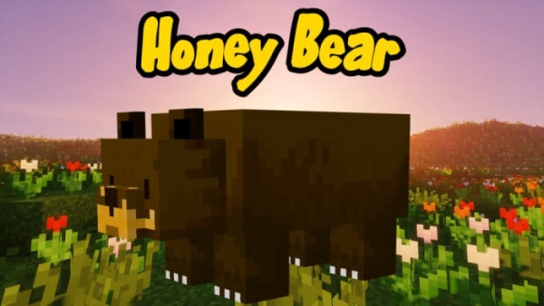 Honey Bear animal