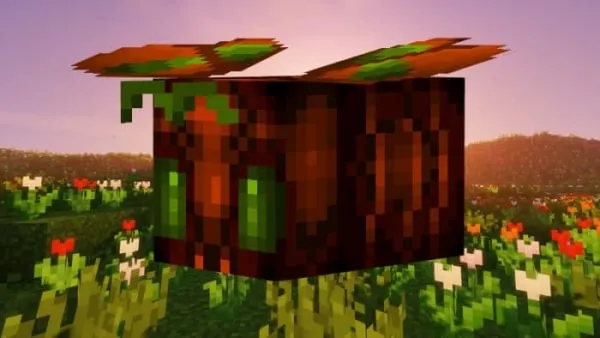 Moth Bee