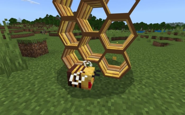 Angry Bee and Hive