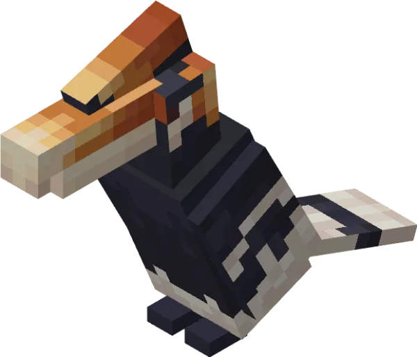 Hornbill