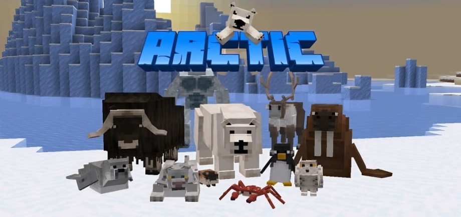 Thumbnail: ARCTIC