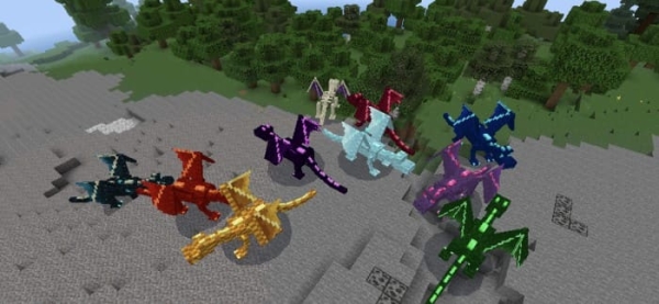 Screenshot of all dragons.