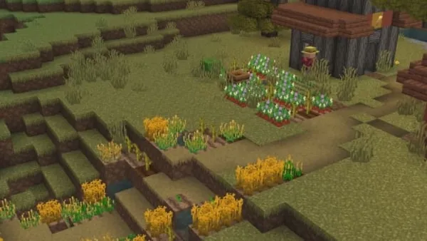 Kova BE: Screenshot 5