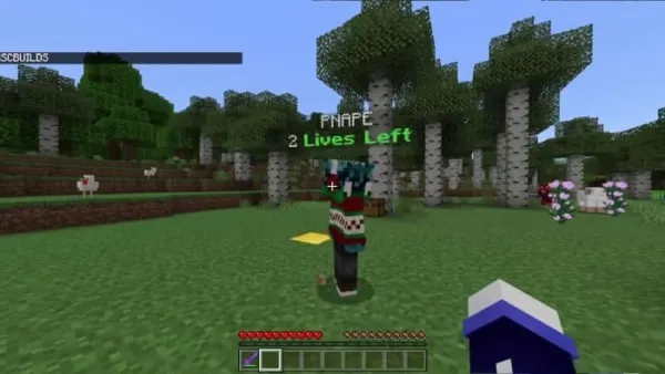 Player with 2 lives left
