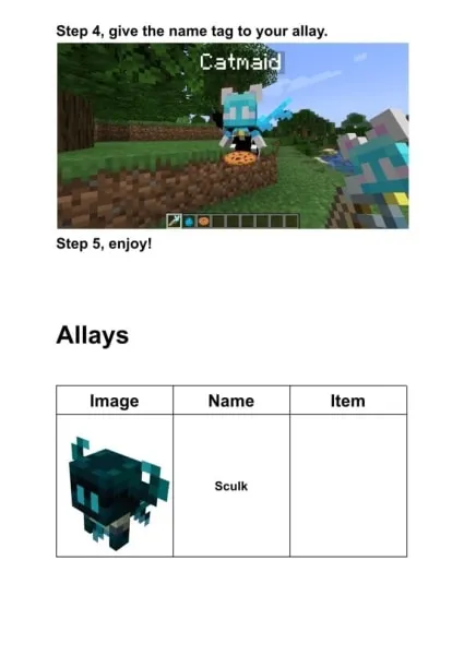 Pack O' Allay remaining guide (step 4 and 5)