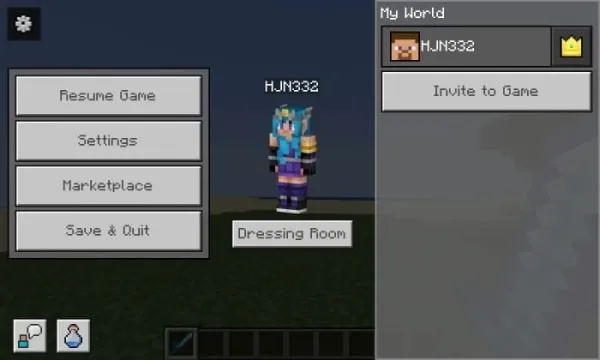 Pause Menu