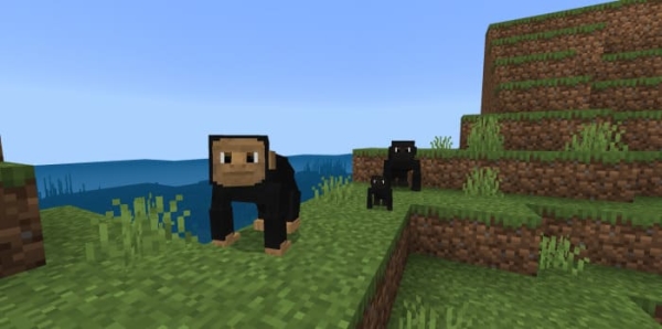 Chimpanzee: Screenshot