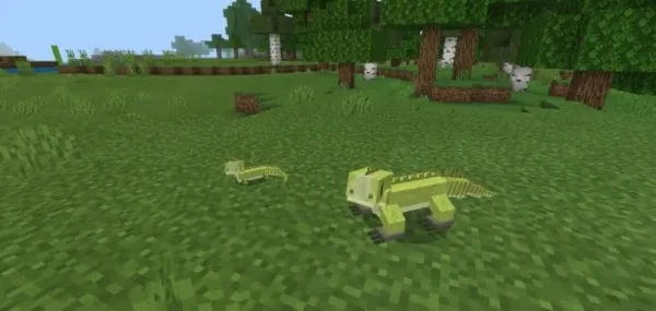 Iguanas: Screenshot
