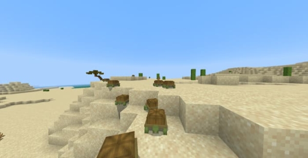 Land Turtles: Screenshot
