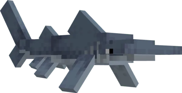 Hammerhead Shark
