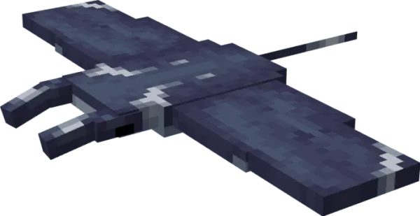 Manta Ray
