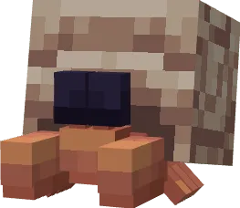Hermit Crab