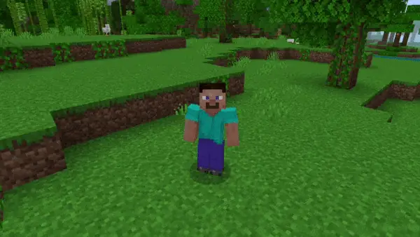 Crouch animation.