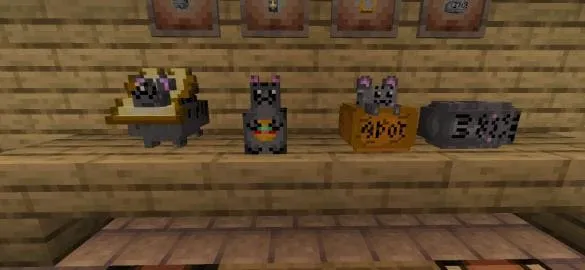 Cute cats