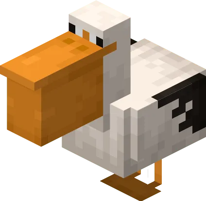 Pelican