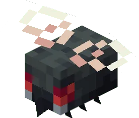 Fly