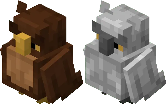 Owl bird
