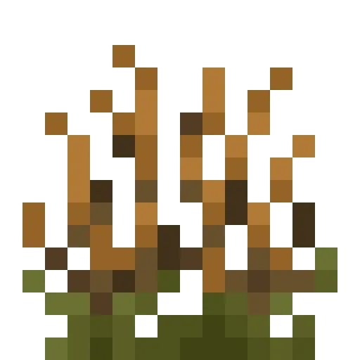 Dried Tallgrass