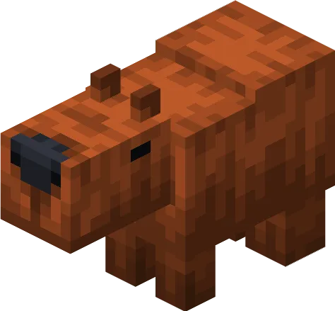 Capybaras