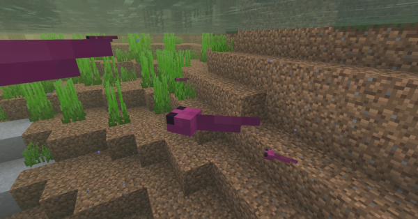 Amphibia Pack (screenshot 5)